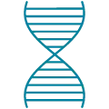 DNA Icon